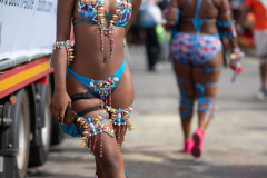 DSC_4899-2