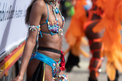 DSC_4903-2