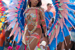 DSC_4905-2