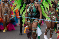 DSC_5006