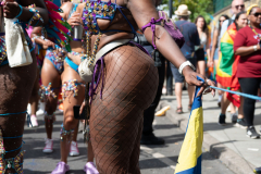 DSC_5201