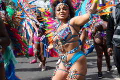 DSC_5202