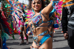 DSC_5203