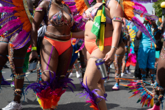 DSC_5210