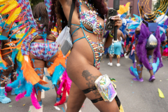 DSC_5570