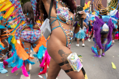 DSC_5571