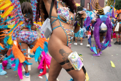 DSC_5572
