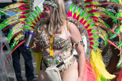 DSC_8524
