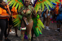 IMG_4178
