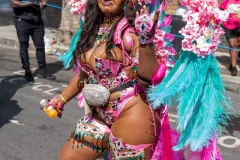 DSC02561