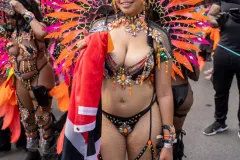 DSC02571
