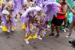 DSC02582