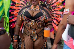 DSC02601