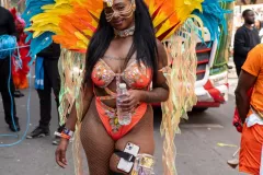 DSC02704
