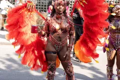 DSC02743
